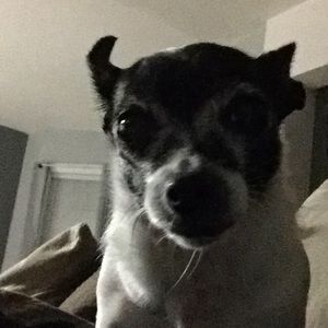 Meet your Posher, Aixa